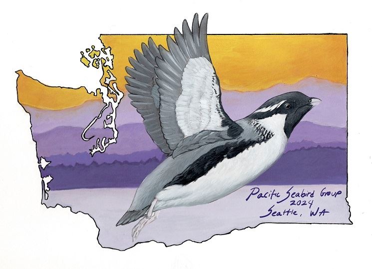 Notes from the 51st Annual Meeting of the Pacific Seabird Group (PSG 2024)
