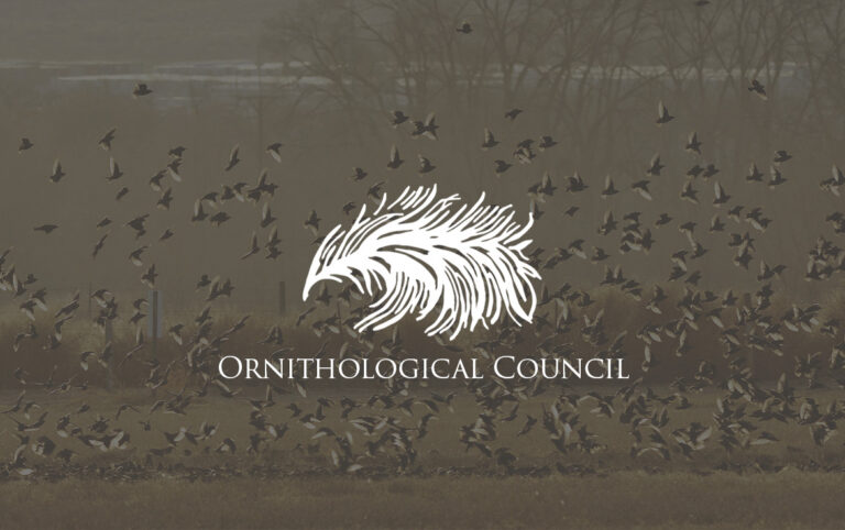 The Ornithological Council: who we are and how we can help you